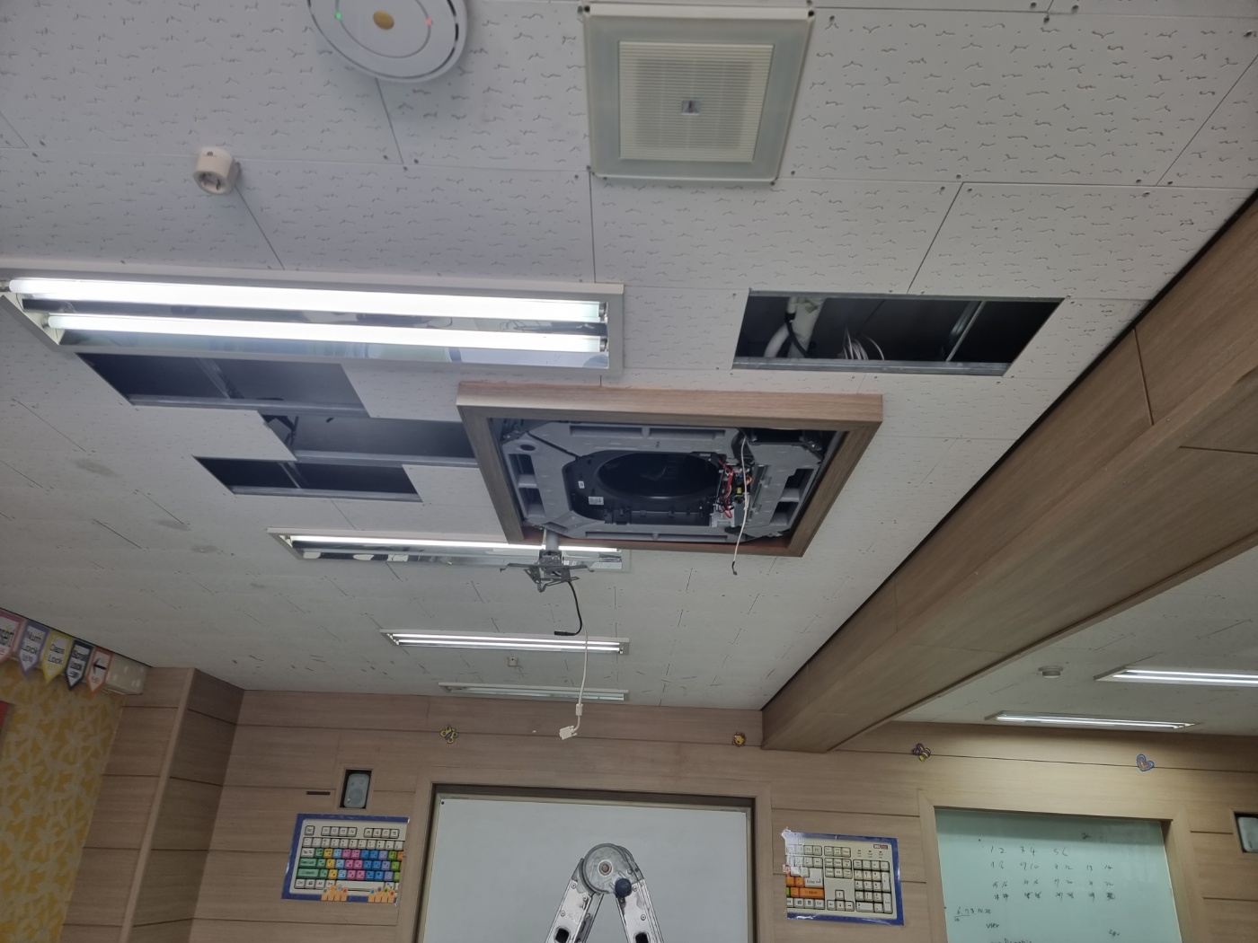 /user/0/01033556478/editor/2504/cc27a43cde1d9315a9477775c37b1107_1744247575_1458.jpg 이미지크게보기
